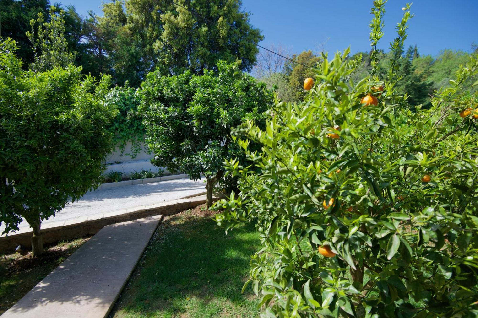 Villa Natilia Gazatika Экстерьер фото